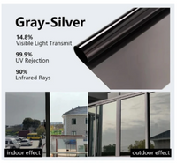 Dark Silver