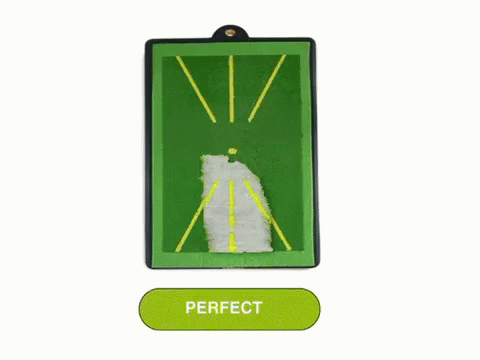 Golf Swing Master Mat