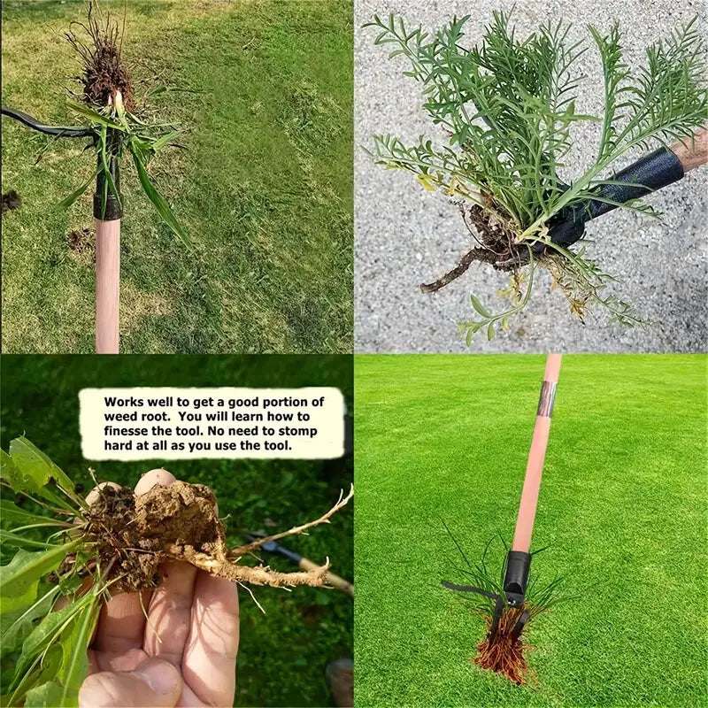 Easy Pull Pro Weed Extractor