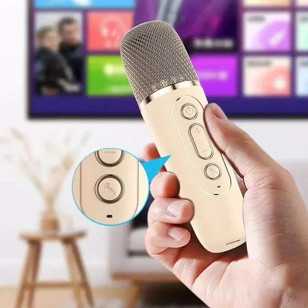 Mini Karaoke Machine II