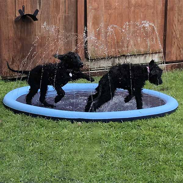 PupPlay Splash Pad™