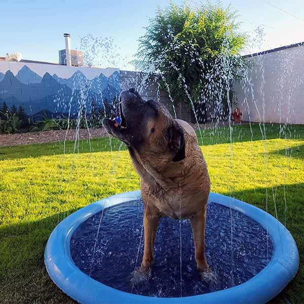 PupPlay Splash Pad™
