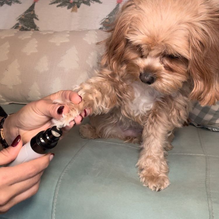 EasePaw Nail Trimmer