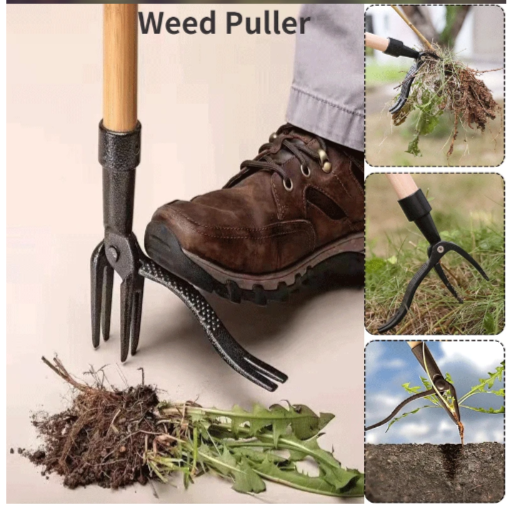 Garden Gleam Weed Vanquisher