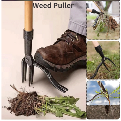 Garden Gleam Weed Vanquisher