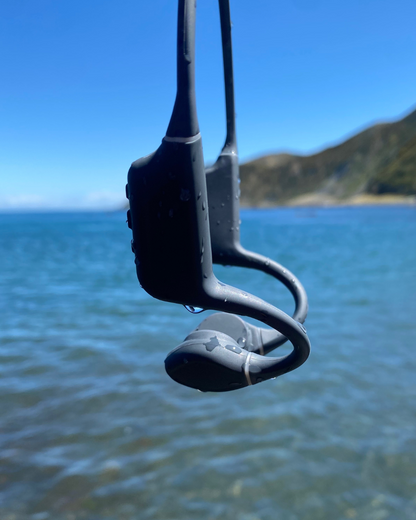 WaveTunes