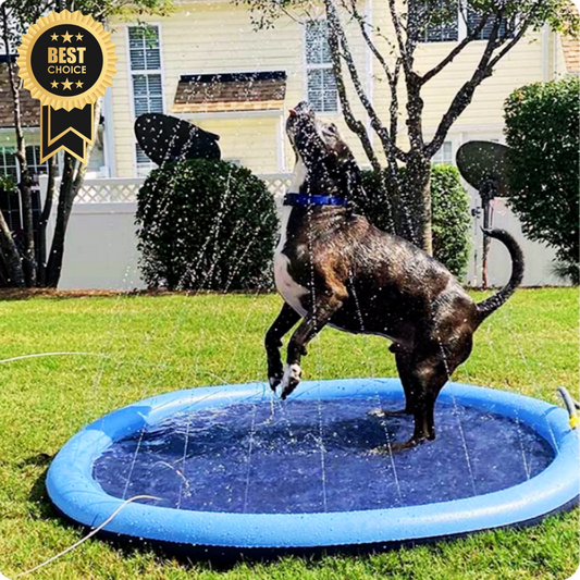 PupPlay Splash Pad™